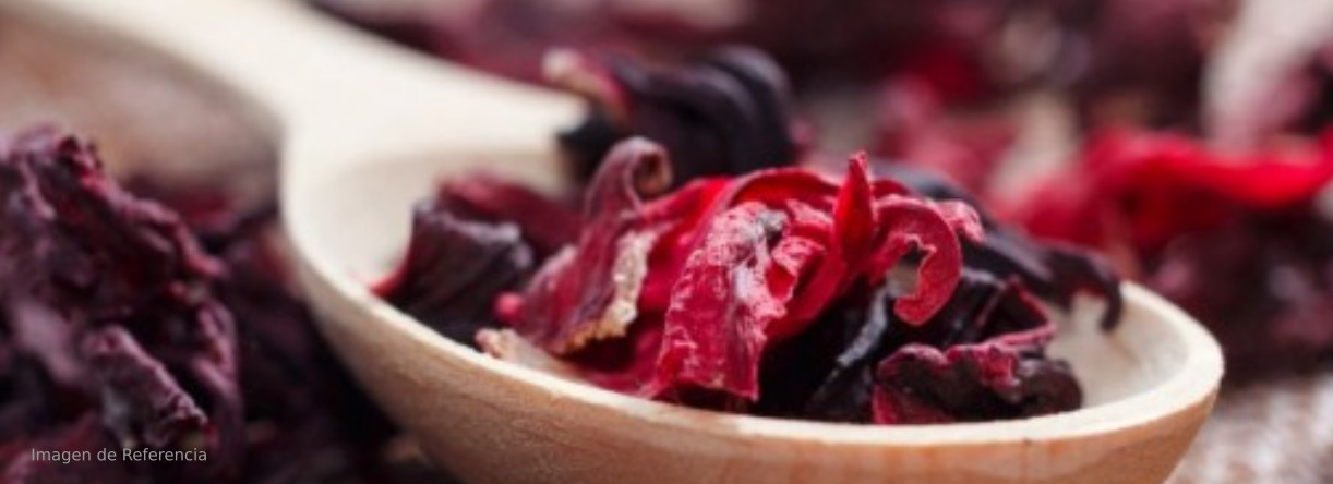postres-aguasfrescas-blog-jamaica.jpg